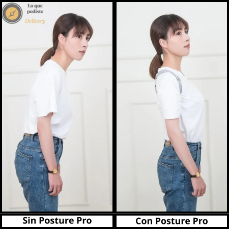 POSTURE PRO